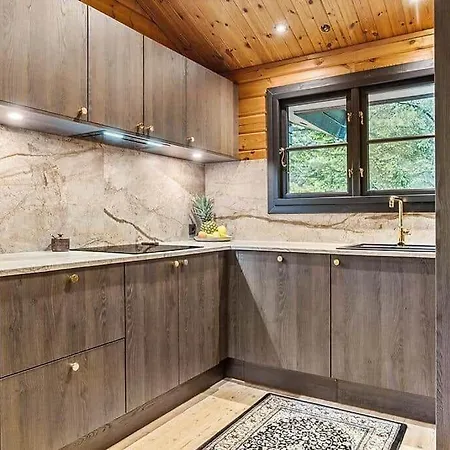 Bl1224-saltum-vikingebanke-7